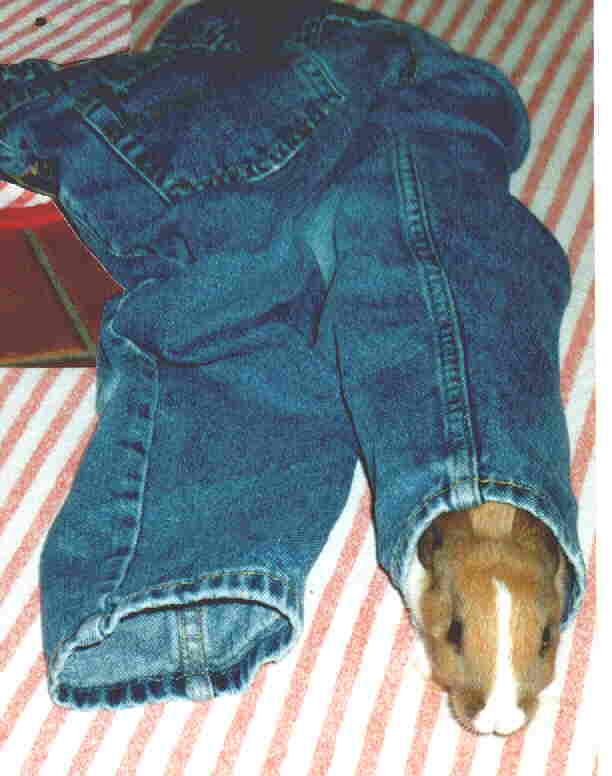 Moehrchen zwei