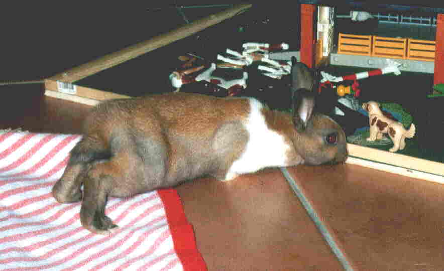 Moehrchen zwei