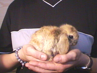 Moehrchen eins